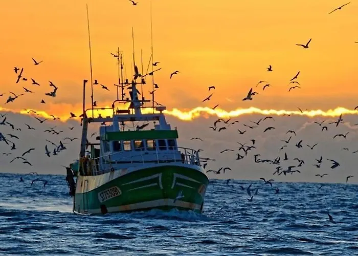 Maison Méditerranéenne 60m² Avec Patio Et Parking Privé, à 5min De La Plage, 3 Pièces Confortables - Fr-1-307-6 Hébergement de vacances