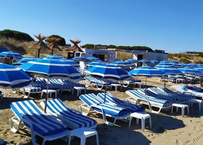 Maison Méditerranéenne 60m² Avec Patio Et Parking Privé, à 5min De La Plage, 3 Pièces Confortables - Fr-1-307-6 Hébergement de vacances Le Grau-du-Roi